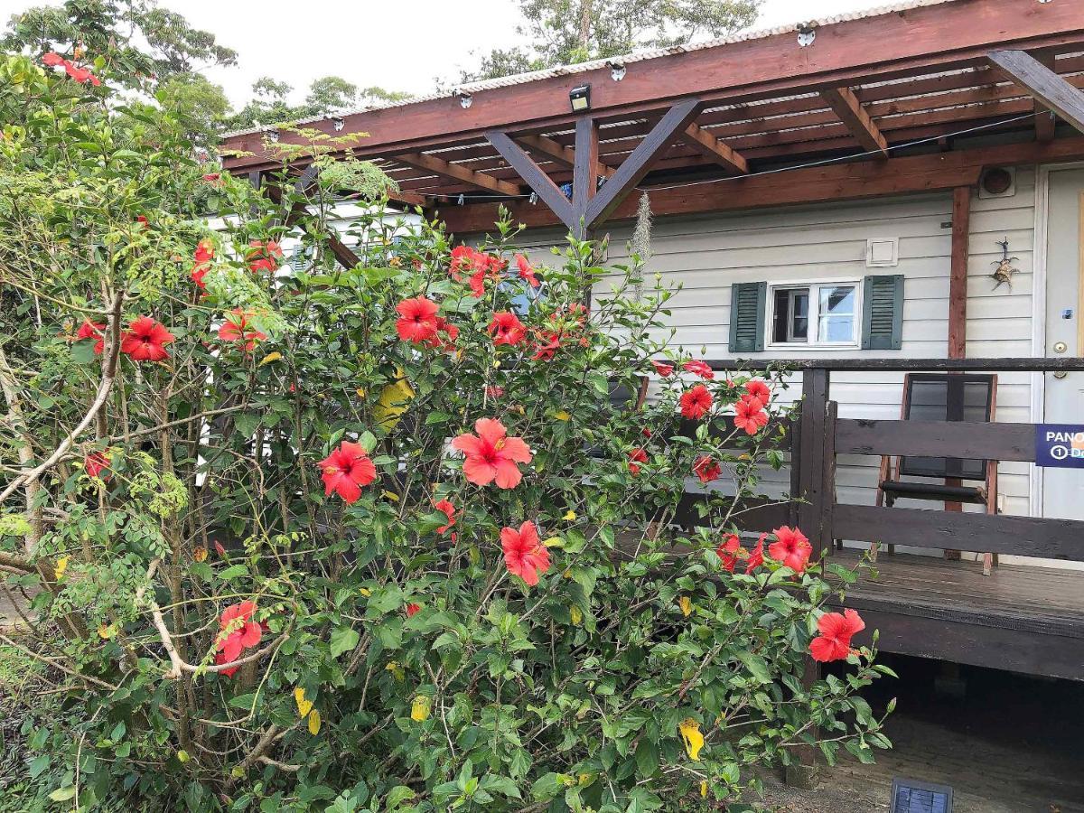 Panorama Ocean View Cottage Motobu Luaran gambar