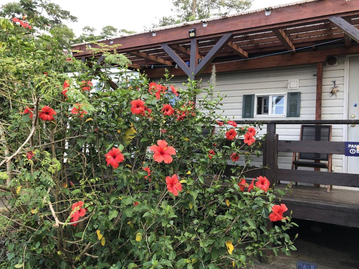 Panorama Ocean View Cottage Motobu Luaran gambar
