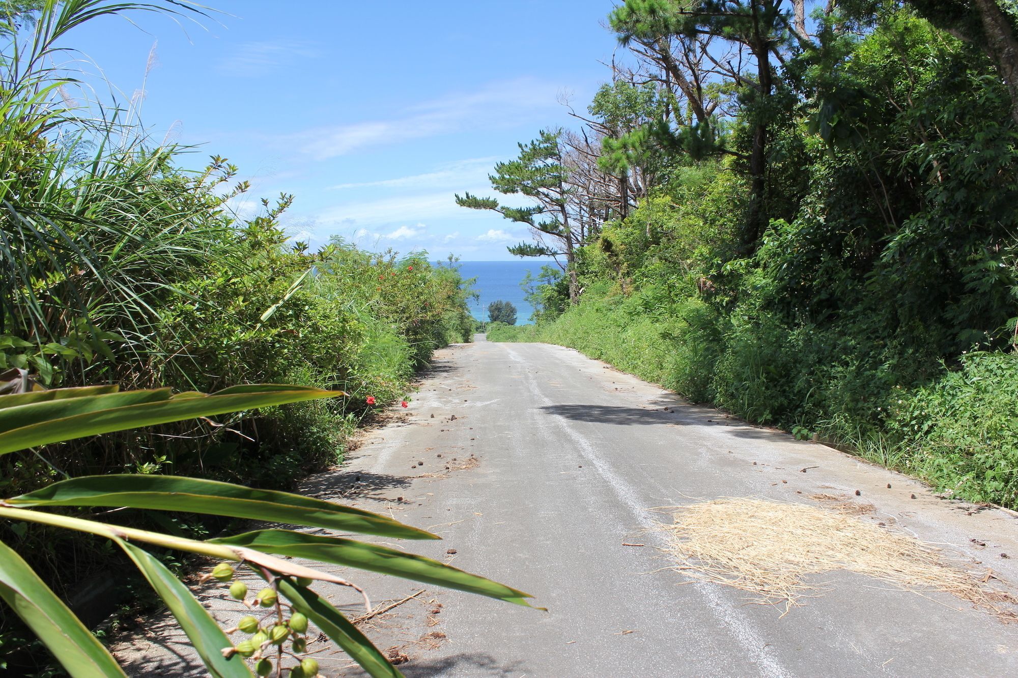 Panorama Ocean View Cottage Motobu Luaran gambar
